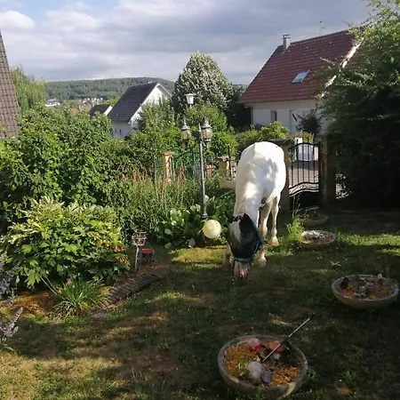 Apartment Chez Olivier Et Josette Sur Mulhouse Sud *