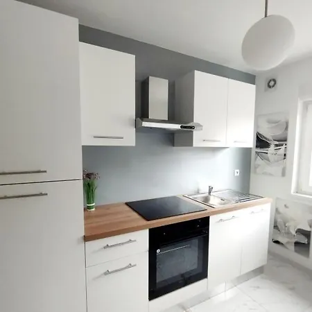 Apartment Chez Olivier Et Josette Sur Mulhouse Sud