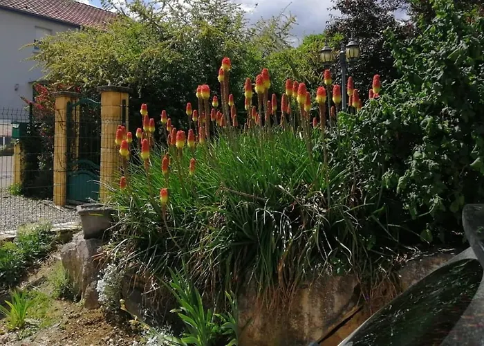 Apartment Chez Olivier Et Josette Sur Mulhouse Sud Illfurth