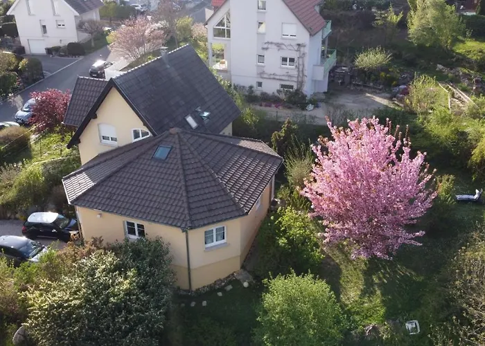 Apartment Chez Olivier Et Josette Sur Mulhouse Sud *