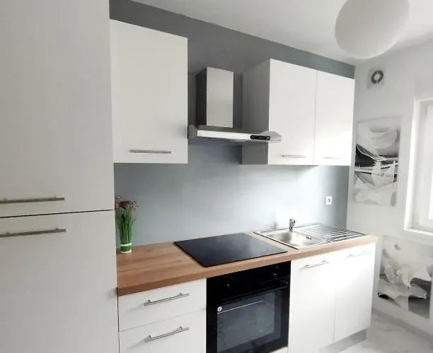 Apartment Chez Olivier Et Josette Sur Mulhouse Sud